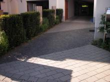 Garten mit Laubengang _01_.JPG