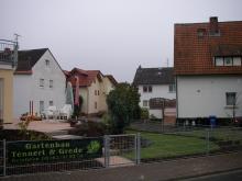 Rasen_Pflanzen _49_.JPG